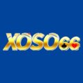 XOSO8866 com – Đặt cược thua nhận ngay tiền giải cứu